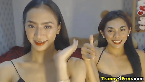 Asian shemale gets double penetrated by her big boobs