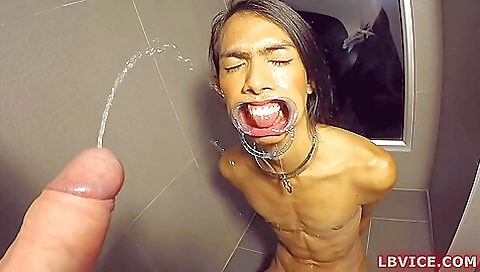 Big ass brunette ladyboy is giving a blowjob to her lover